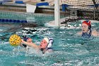 WWPolo @ CC  Wheaton College Women’s Water Polo at Connecticut College. - Photo By: KEITH NORDSTROM : Wheaton, water polo